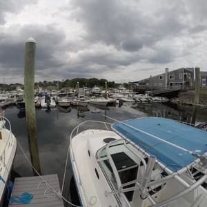 Meet your Posher, Sebastian